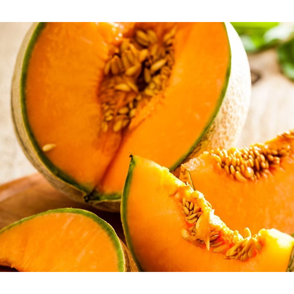 เมล็ดพันธุ์ เมล่อน 30เมล็ด Hami Melon Seeds บอนสีหายาก เมล็ดพันธุ์ผัก