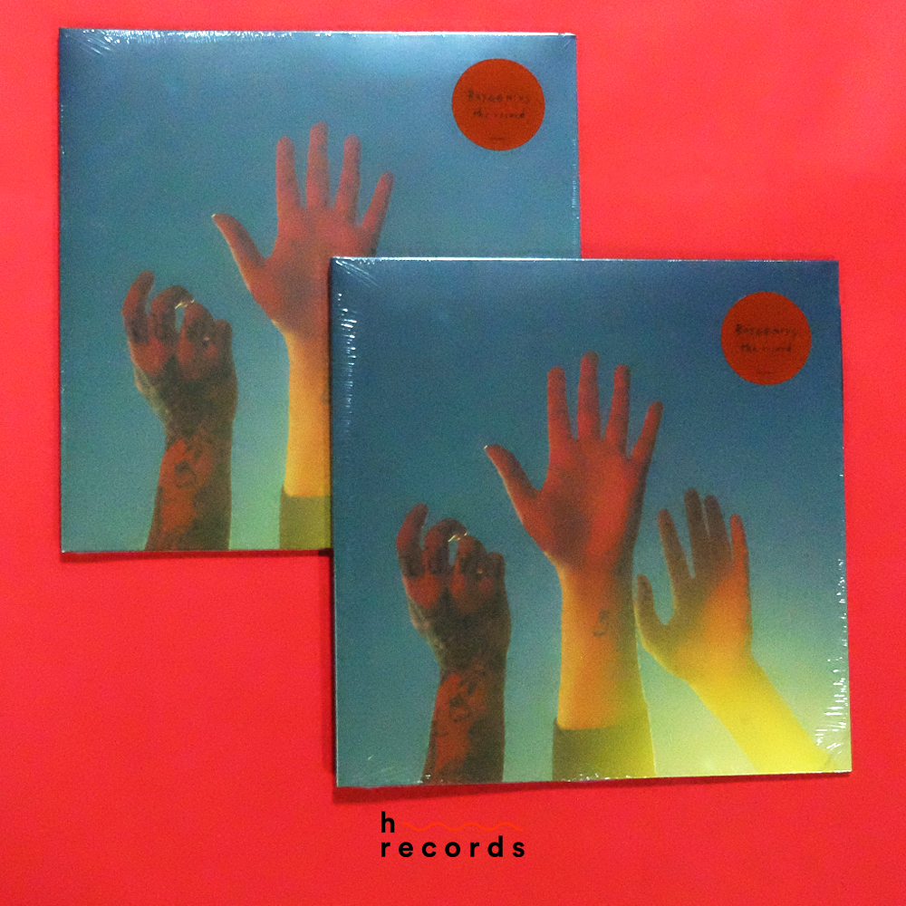 (ส่งฟรี) แผ่นเสียง boygenius the record (Black Vinyl) Shopee Thailand