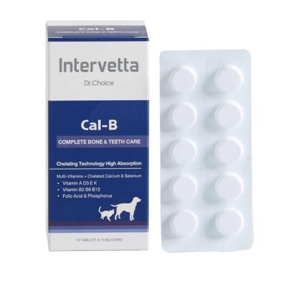ส่งฟรี Dr. Choice CalB แคลเซียม บำรุงกระดูก Shopee Thailand
