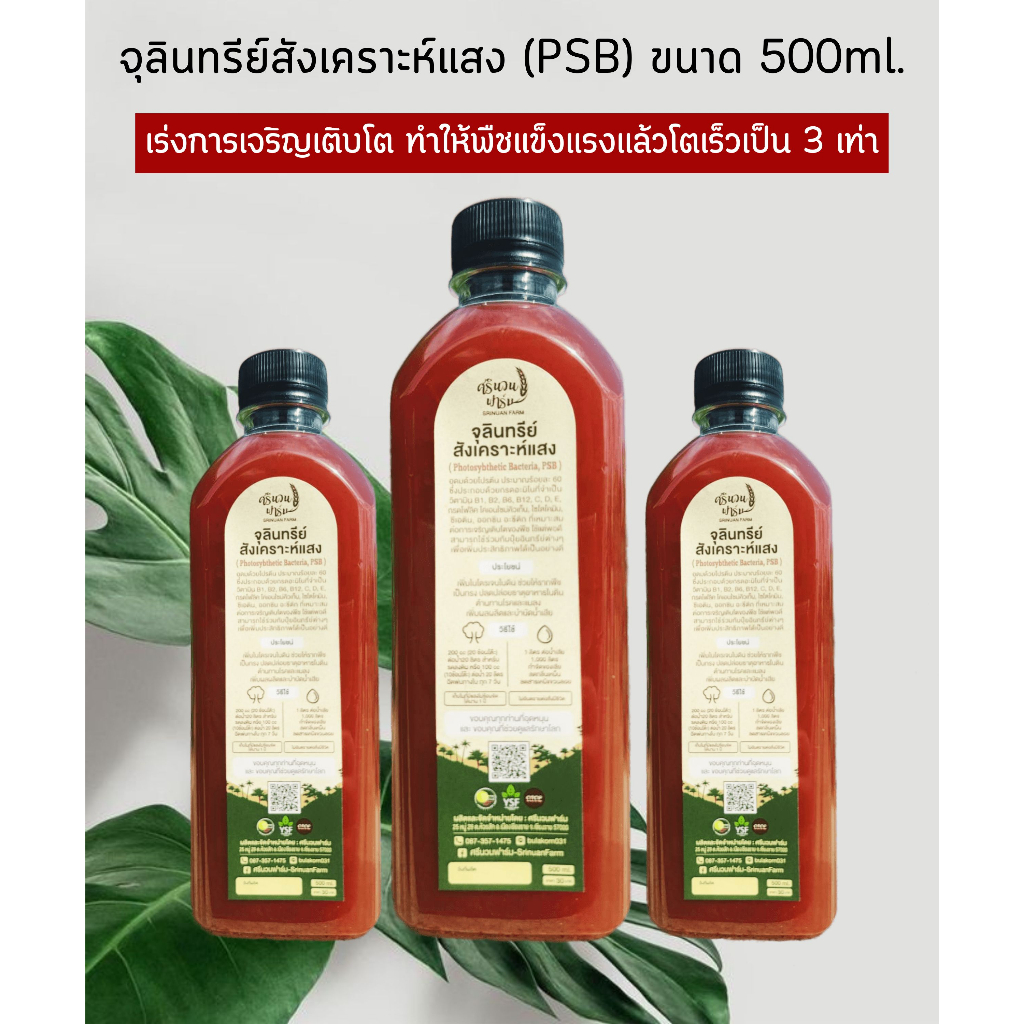 จุลินทรีย์สังเคราะห์แสง PSB ขวด 500 ml. คุณภาพสูง เห็นผลจริง สูตร