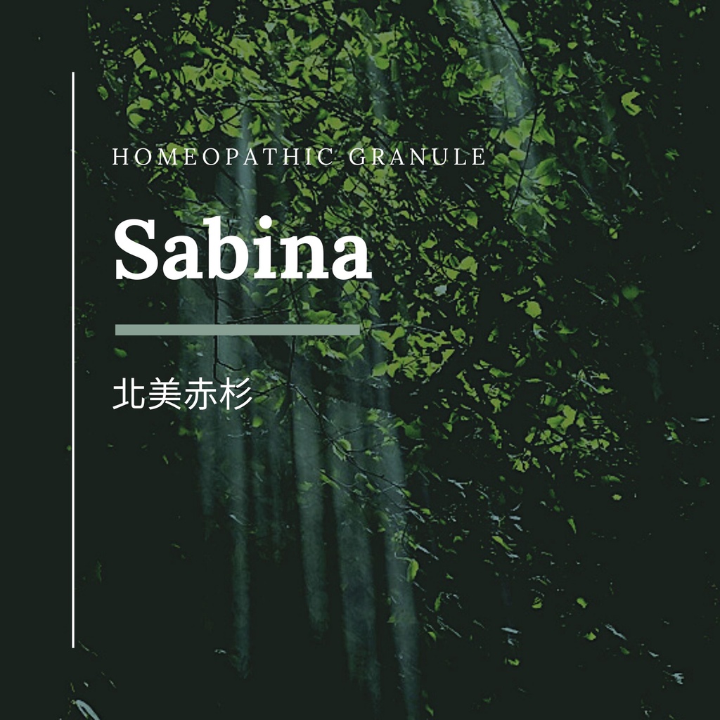 順勢糖球【北美赤杉 Sabina】Homeopathic Granule 9克 食在自在心空間 蝦皮購物