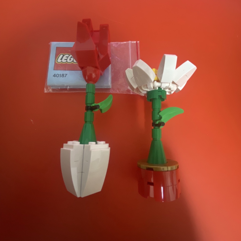 LEGO 40187 Flower Display 蝦皮購物