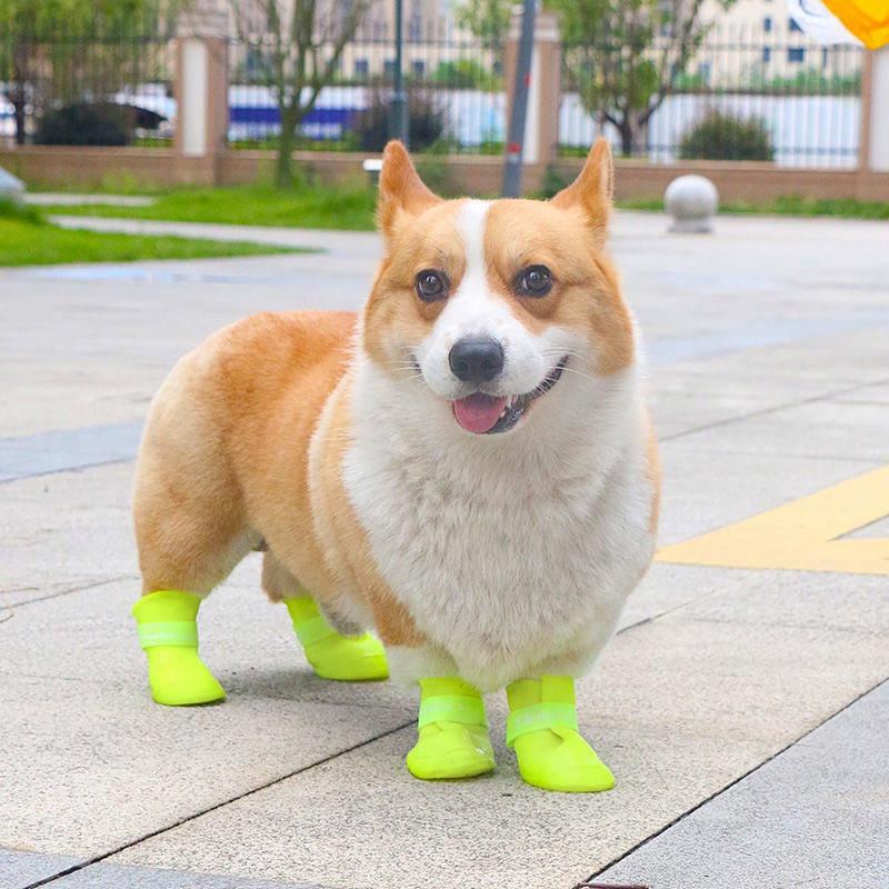 Dog Rain Boots Teddy Shoes Do Not Fall off Bichon Large, Medium and Small Dogs Pet Booties