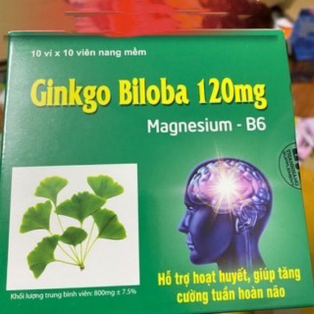 Ginkgo Biloba 120mg Magnesium B6 Thanh Hằng (hộp 100 viên) Shopee