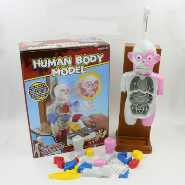 Human Body Model Game Shopee Việt Nam