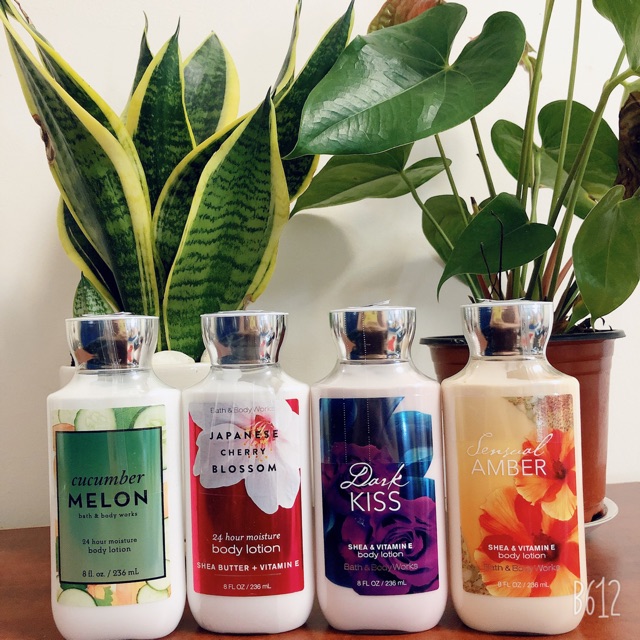 Lotion Bath And Body Works 236ml Shopee Việt Nam