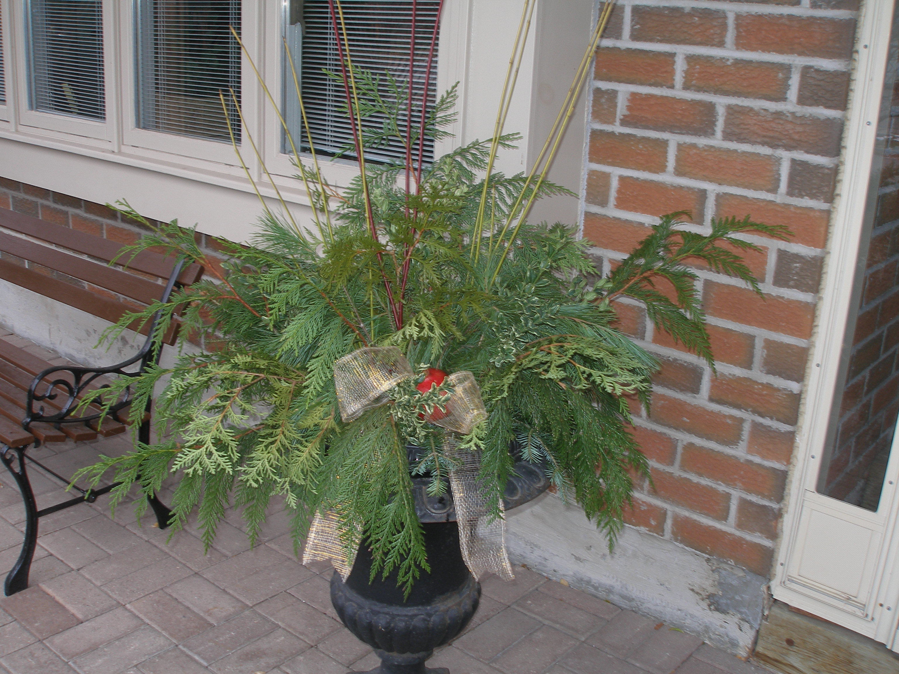 How To Turn Your Winter Containers From Blah Into Fantastic Down 2