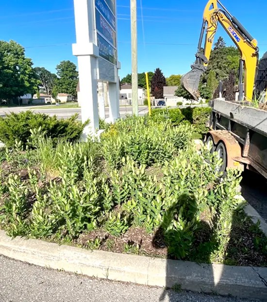 services Superior Landscaping and Lawn Care Services London