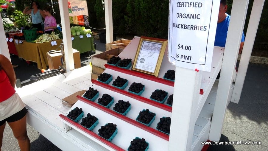 2021 Margate Farmers Market Vendor List Downbeach BUZZ