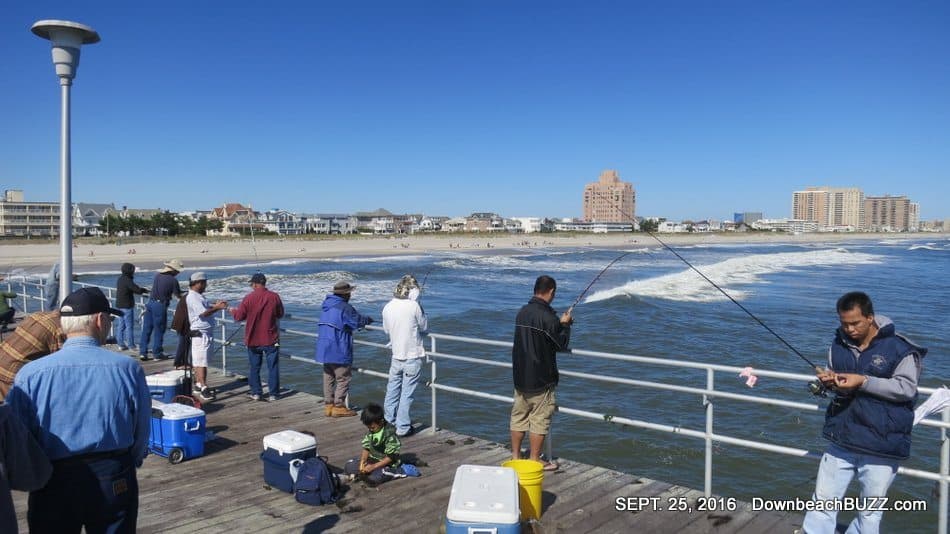 Ventnor Fishing Pier Now Open for 2017 Season Downbeach BUZZ