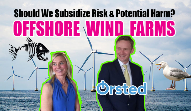 Backlash Builds Over Jersey Shore Wind Farms Downbeach BUZZ