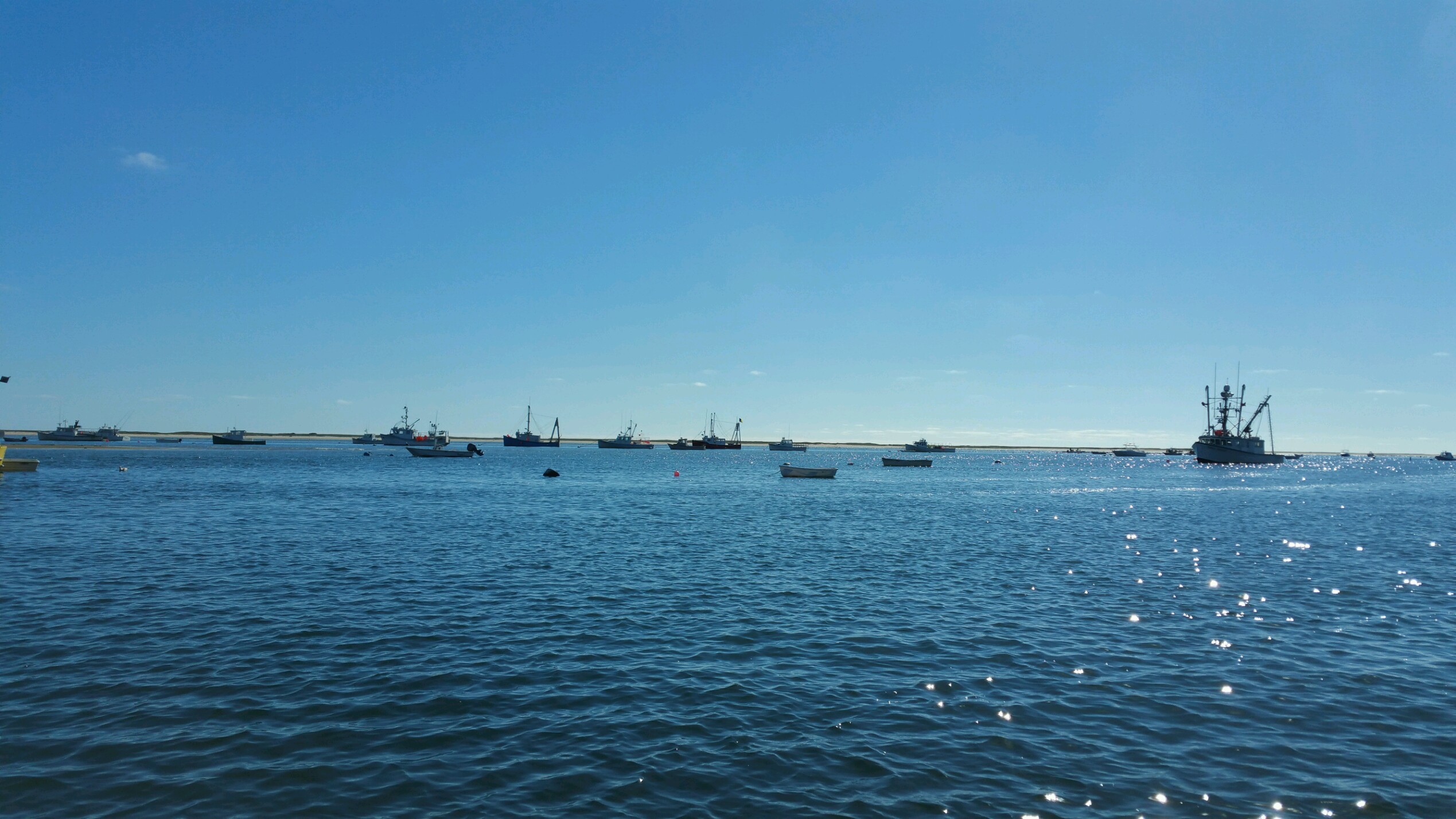 Misty's phone 2016.17 145 Down Cape Charters & Boat Rentals