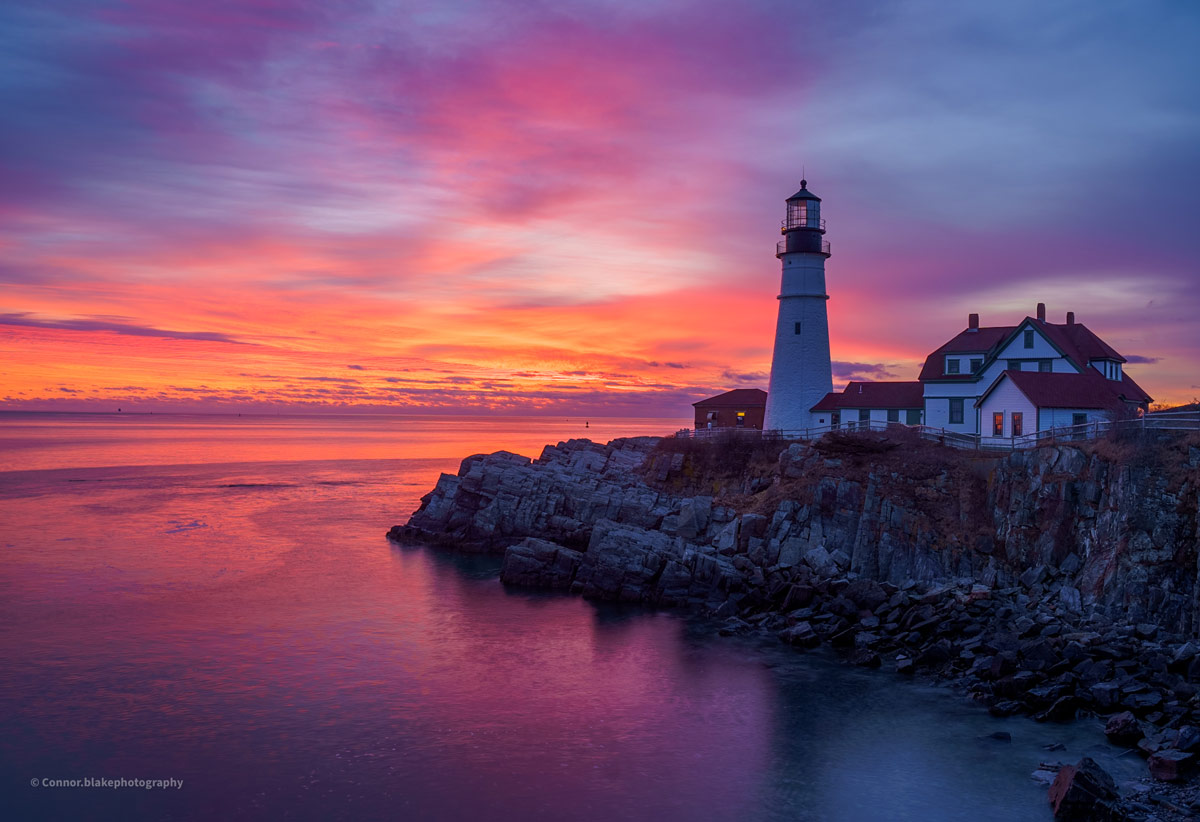 Are Dogs Allowed At Portland Head Light
