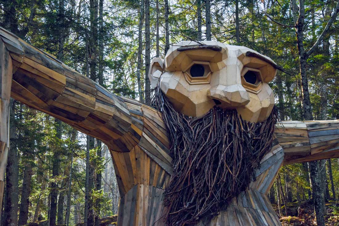 5 Giant Trolls Are Hiding at the Coastal Maine Botanical Gardens Down