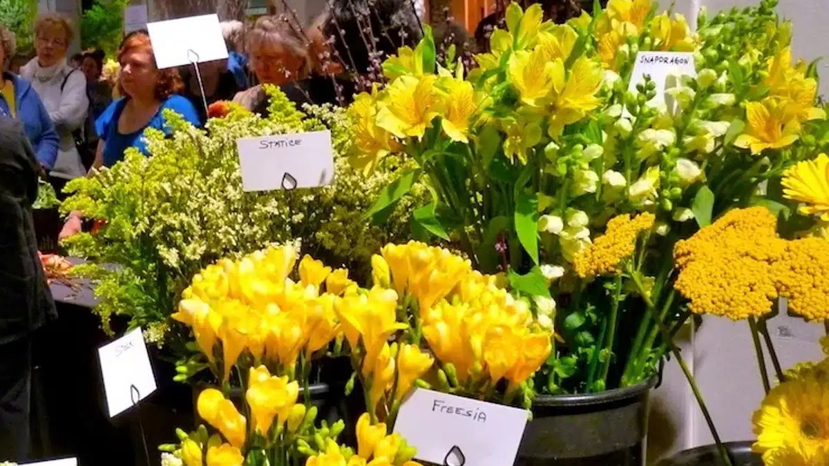 Boston Flower and Epicurean Festival Downeaster Travel Packages to