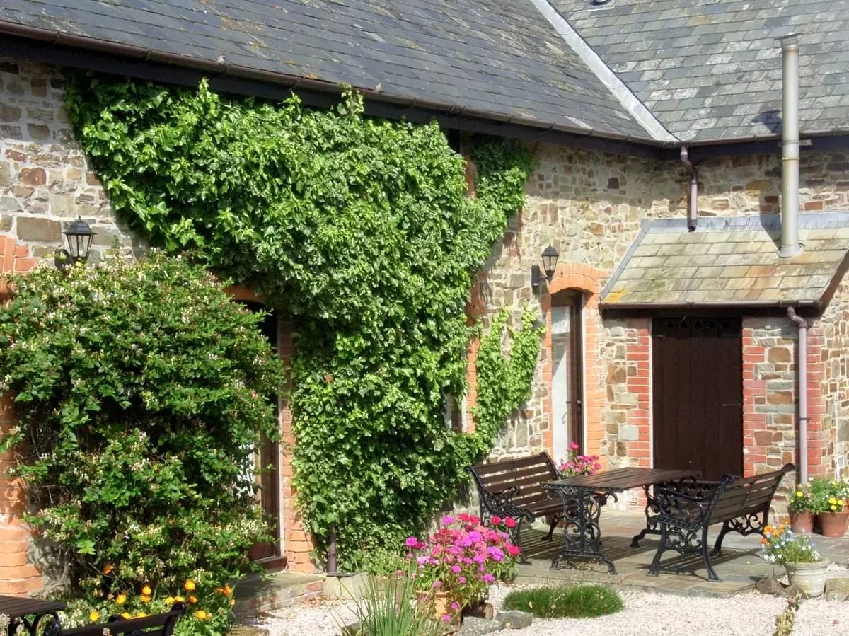 Ivy is a two bedroom self catering holiday cottage in Hartland, North