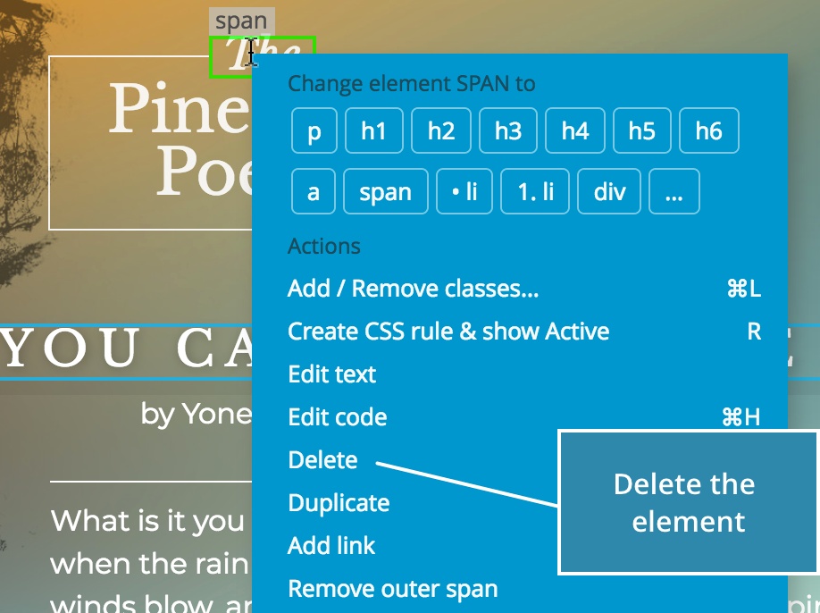Delete elements Pinegrow  Editor