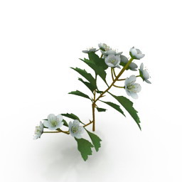 3d Flowers Models Free Download Downloadfree3d Com