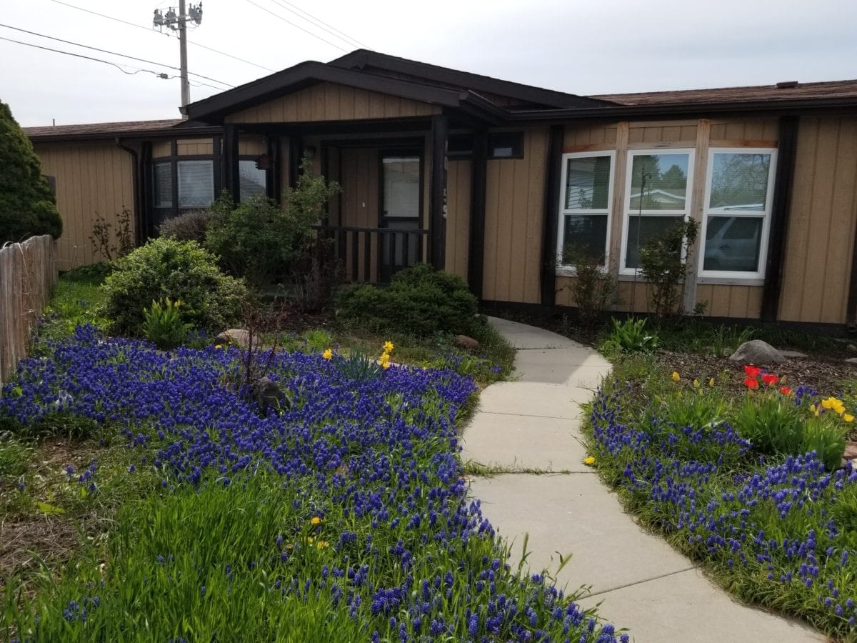 10659 Palm Dr. Boise Idaho/Oregon Auction Services from Downs Auctions