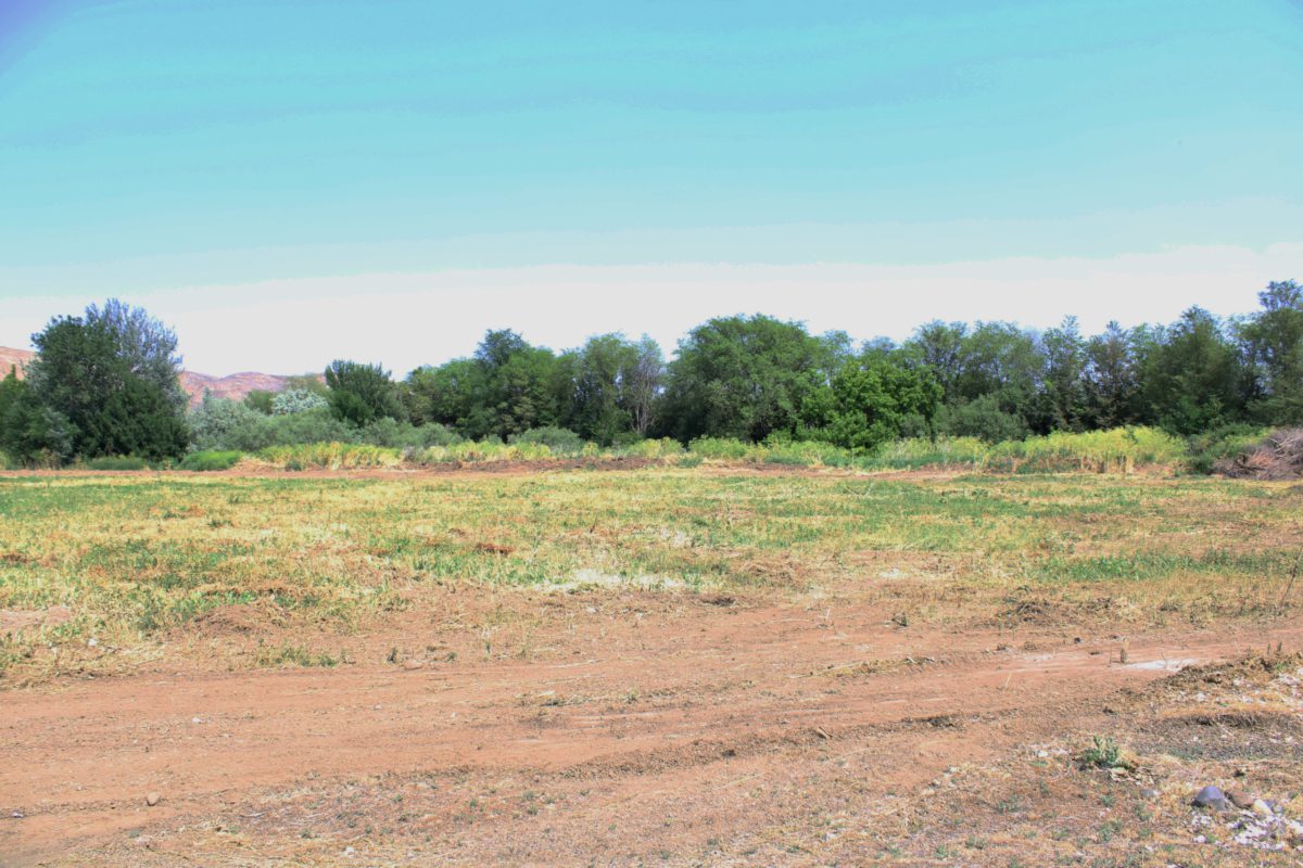 Development Land Auction! Idaho/Oregon Auction Services from Downs