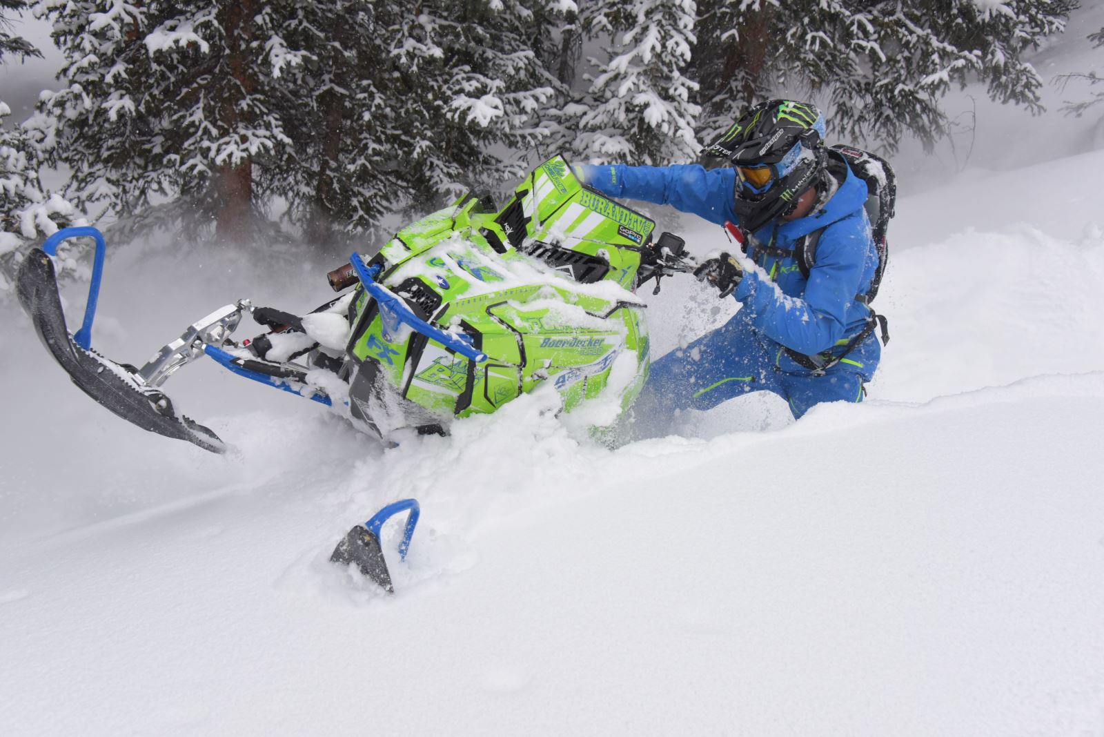 Annual Snowmobile Auction Idaho/Oregon Auction Services from Downs