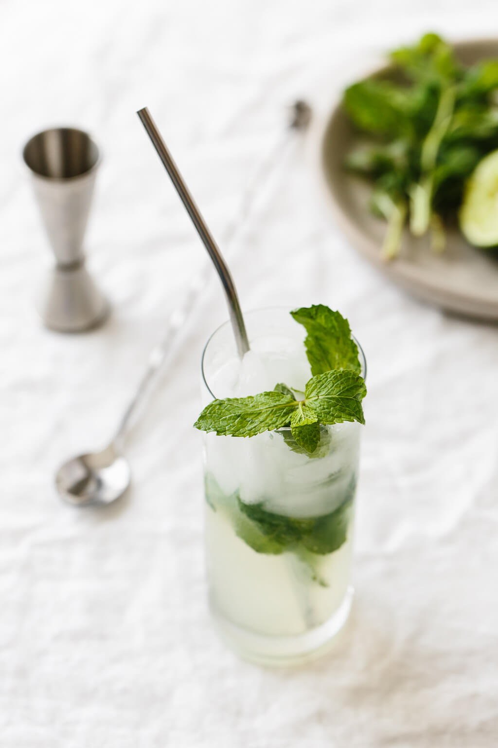 Best Cheap White Rum For Mojitos
