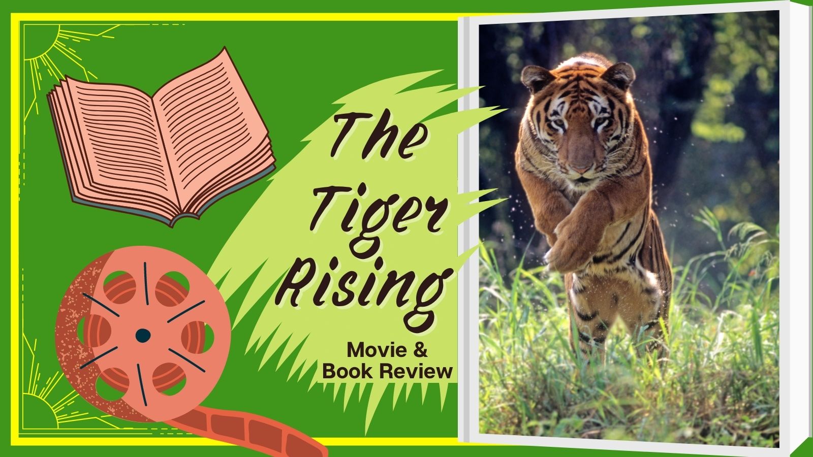3 Lessons from Tiger Rising The Tiger Rising Book vs Movie! Down