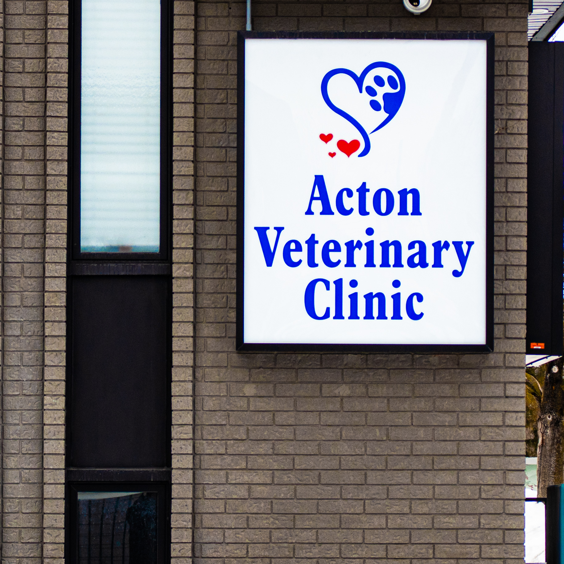 Acton Veterinary Clinic Downtown Acton BIA
