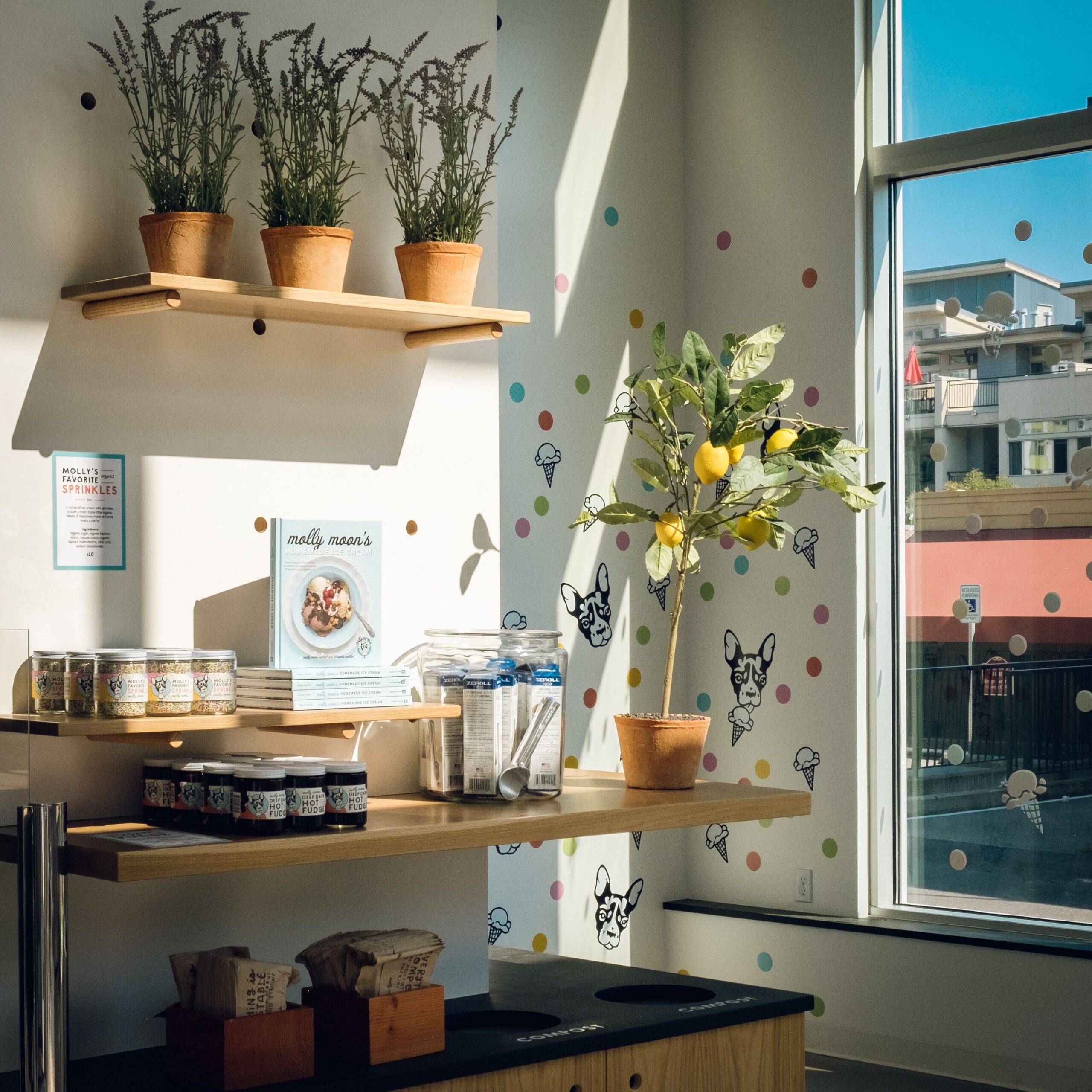 Molly Moon's New Bellevue Flagship IceCream Shop is Now Open