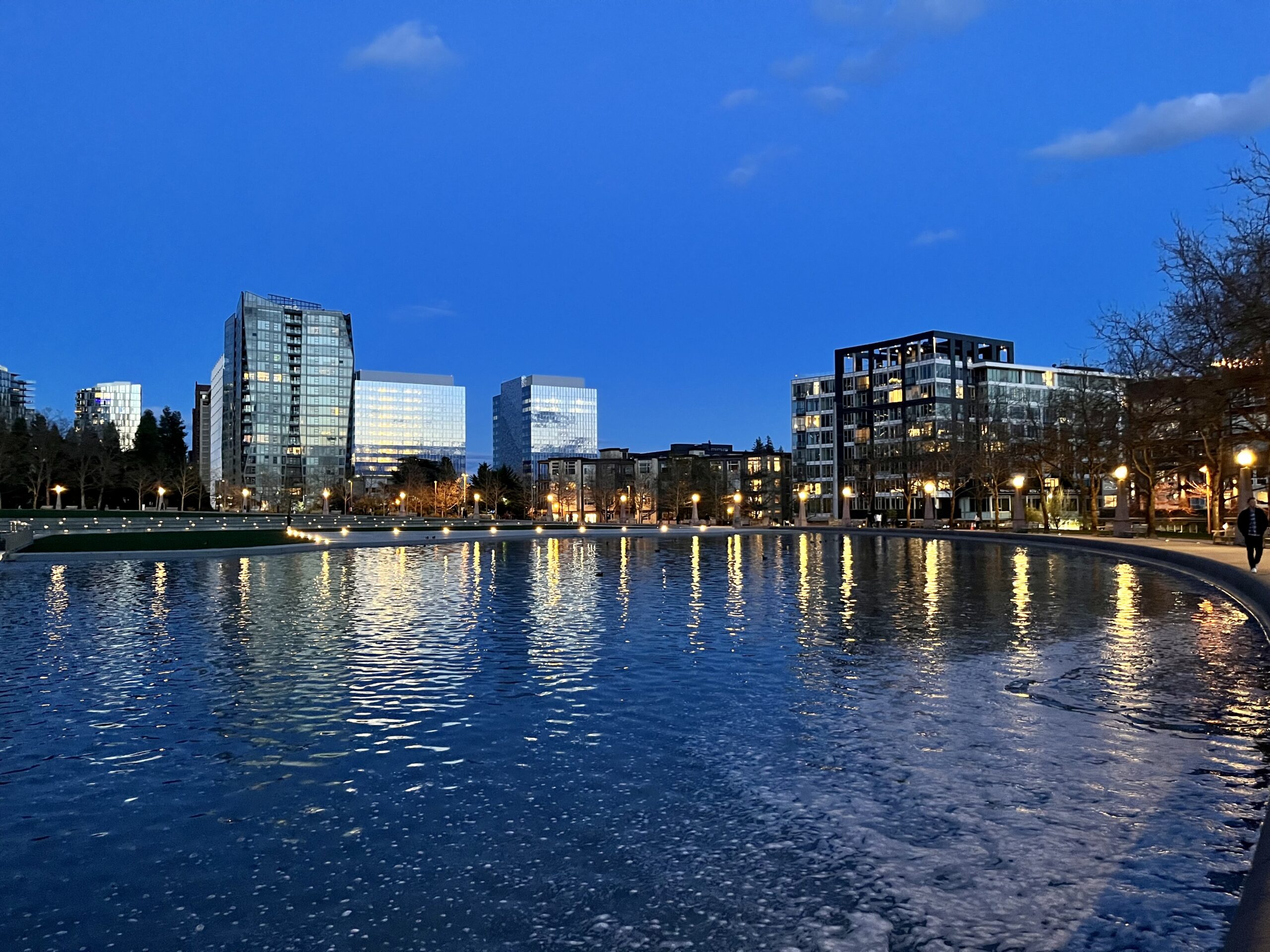 Bellevue Rent for One Bedroom Drops 2, Remains Most Expensive in WA