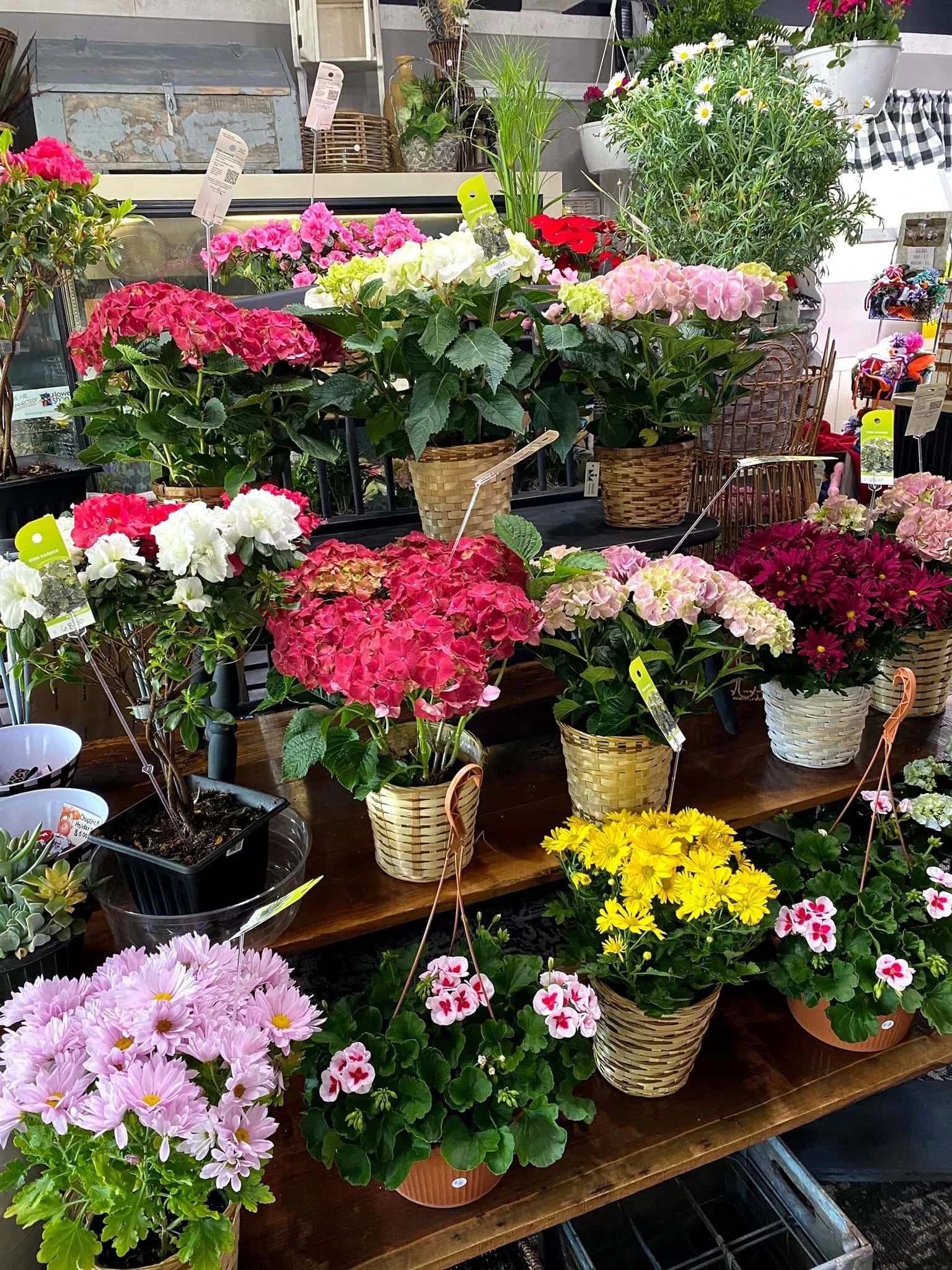 Vintage Blossoms Flat Rock Our Home Town featured business. Downtown