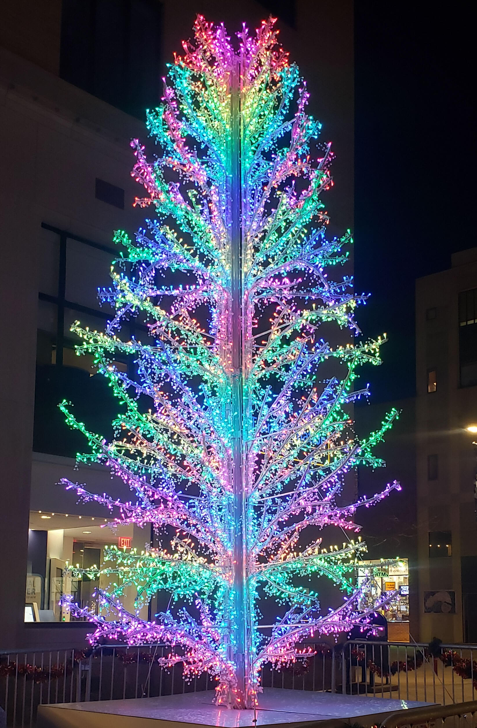 Winter Lights Presented by Tompkins Trust Company » Downtown Ithaca