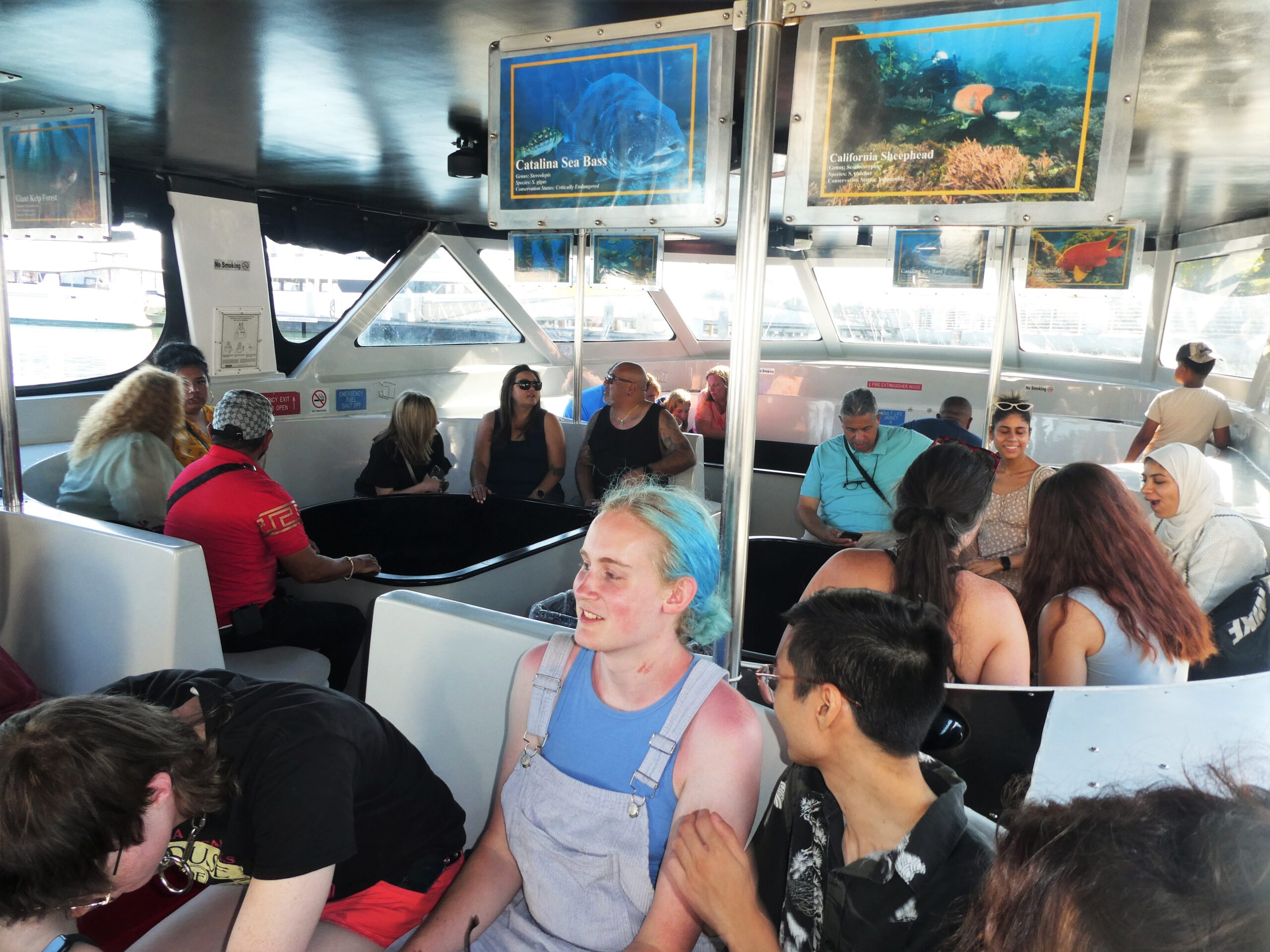 Feed the Fish, Say Hi to the Sea Lions During Capt. Nilda’s Glass