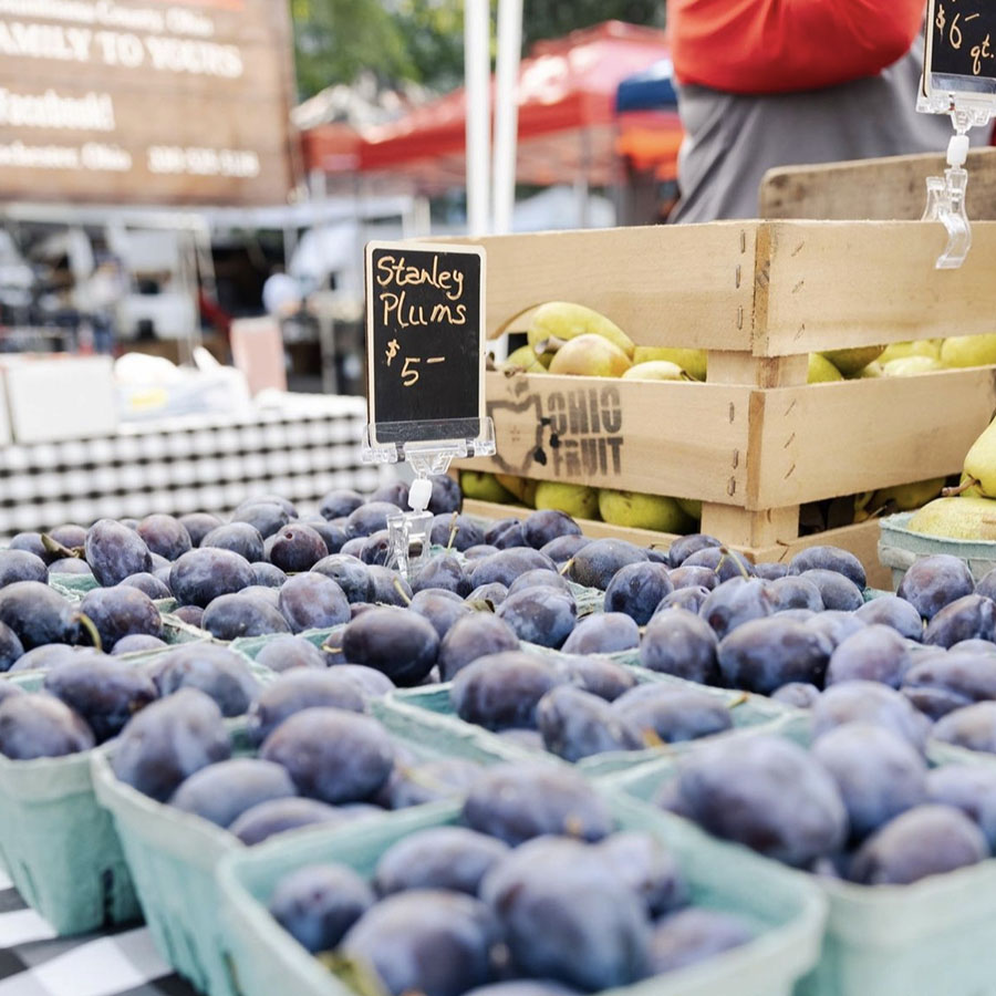 The Market Square Farmers Market Returns on Thursday, May 11, 2023