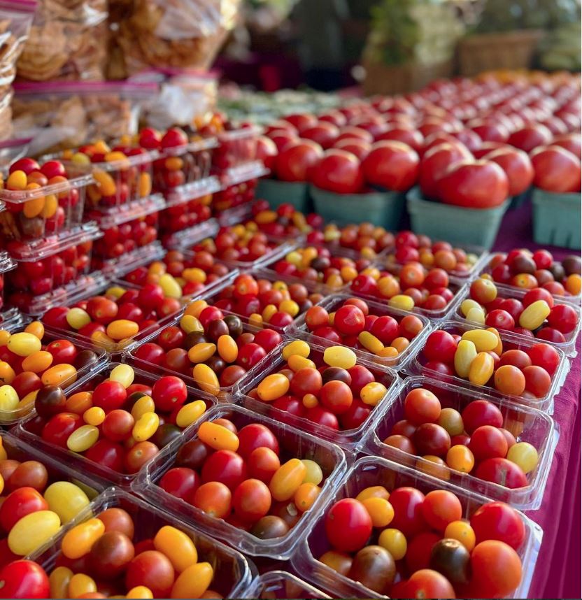 The Mini Market West Palm Beach