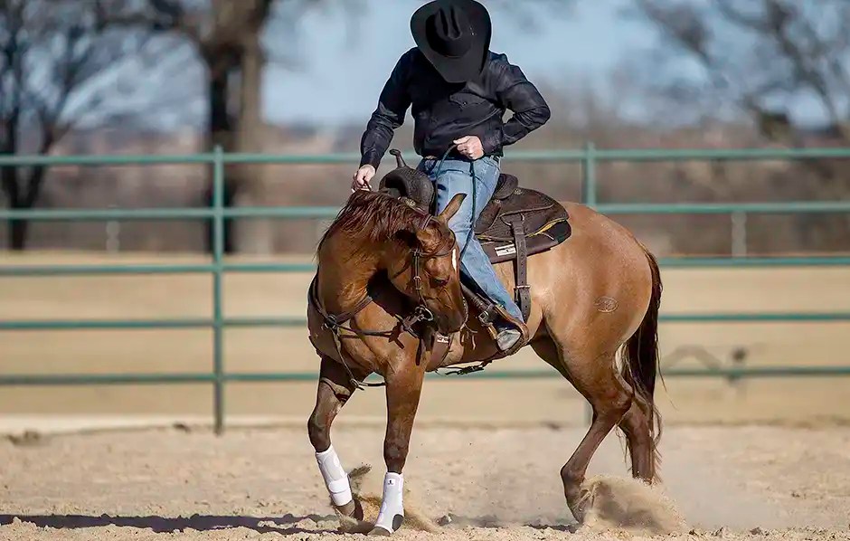 Backing Circles Under Saddle Horse Training Exercise Pt. 1