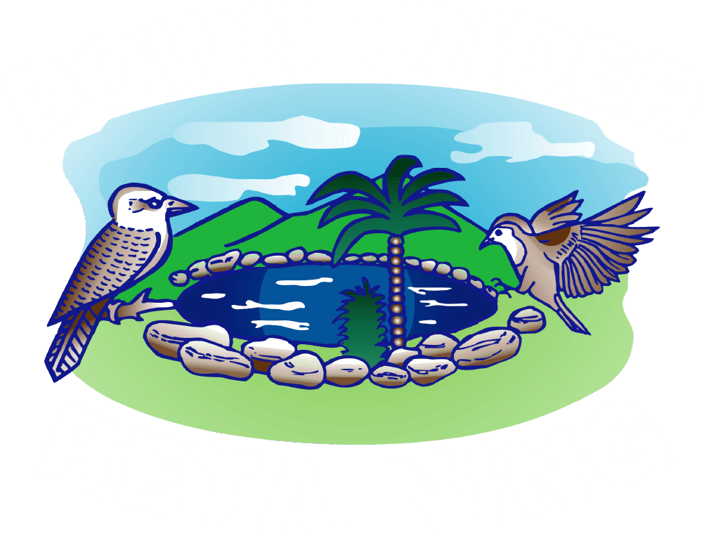 Down Under Retaining Walls and Excavation