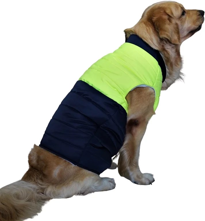 Puffer Waterproof Jacket for dogs Neon Green and Navy Blue » Doxters Lab