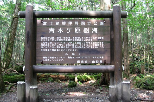 hutan bunuh diri jepang – Enjoy Japan with Us!