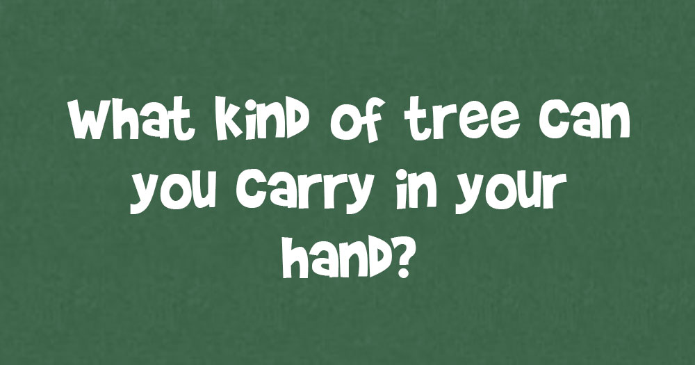 What Kind Of Tree Can You Carry In You Hand? DoYouRemember?