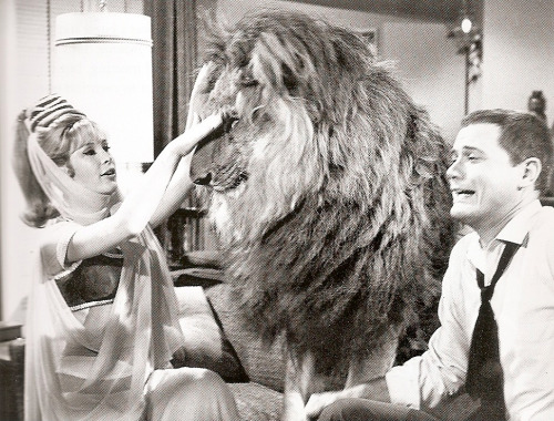 20+ Things Only Hardcore 'I Dream Of Jeannie' Fans Will Know Page 2