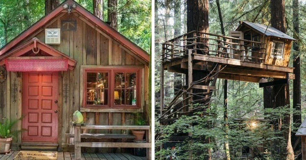 This Tiny Cabin In The Redwoods Is The Perfect Getaway For