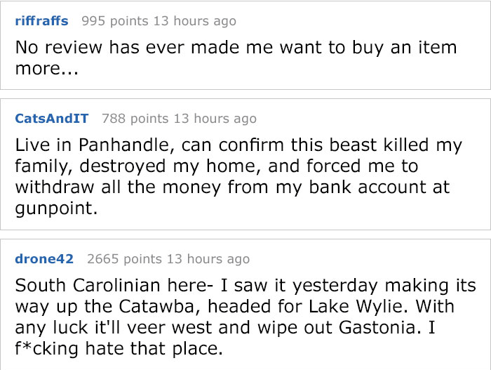 The Cannot Get Enough Of This Guy's Hilarious Amazon Beach