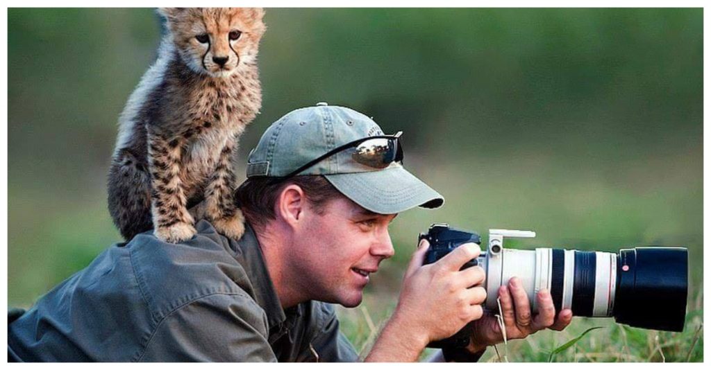 View Adorable Photos Of Animals Getting Up Close With Wildlife