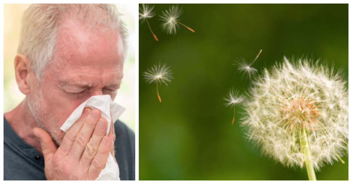 The 2018 Allergy Season Might Be One For The Books And It's Not Done Yet