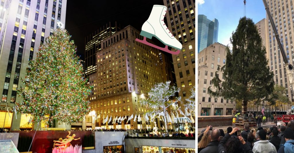 New York's Famed Rockefeller Center Christmas Tree Goes Up