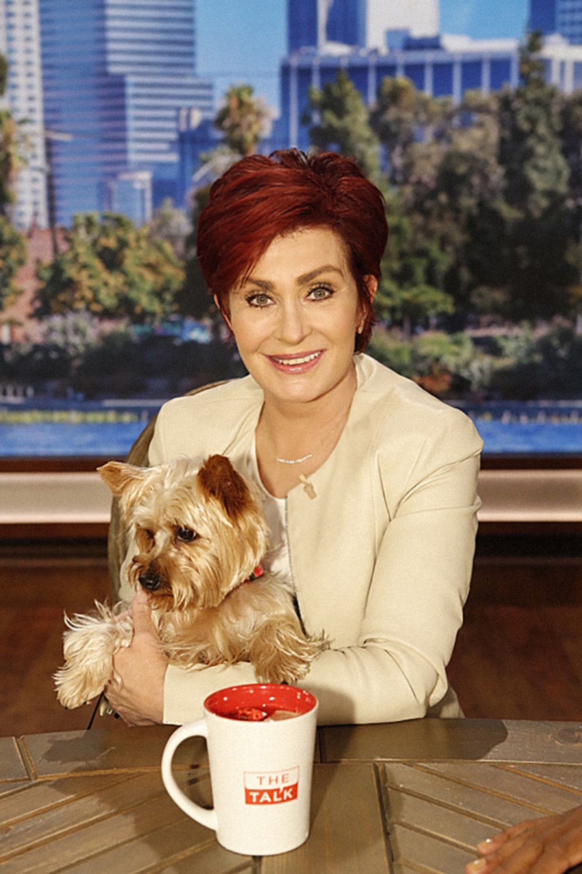 Ozzy Osbourne Appears To React To Sharon Osbourne Leaving 'The Talk'