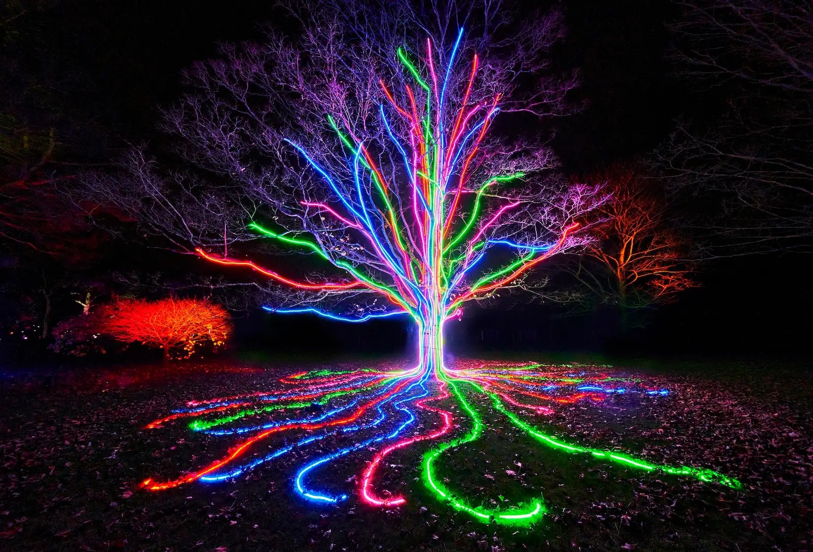 The Best Christmas Lights in Dallas Fort Worth