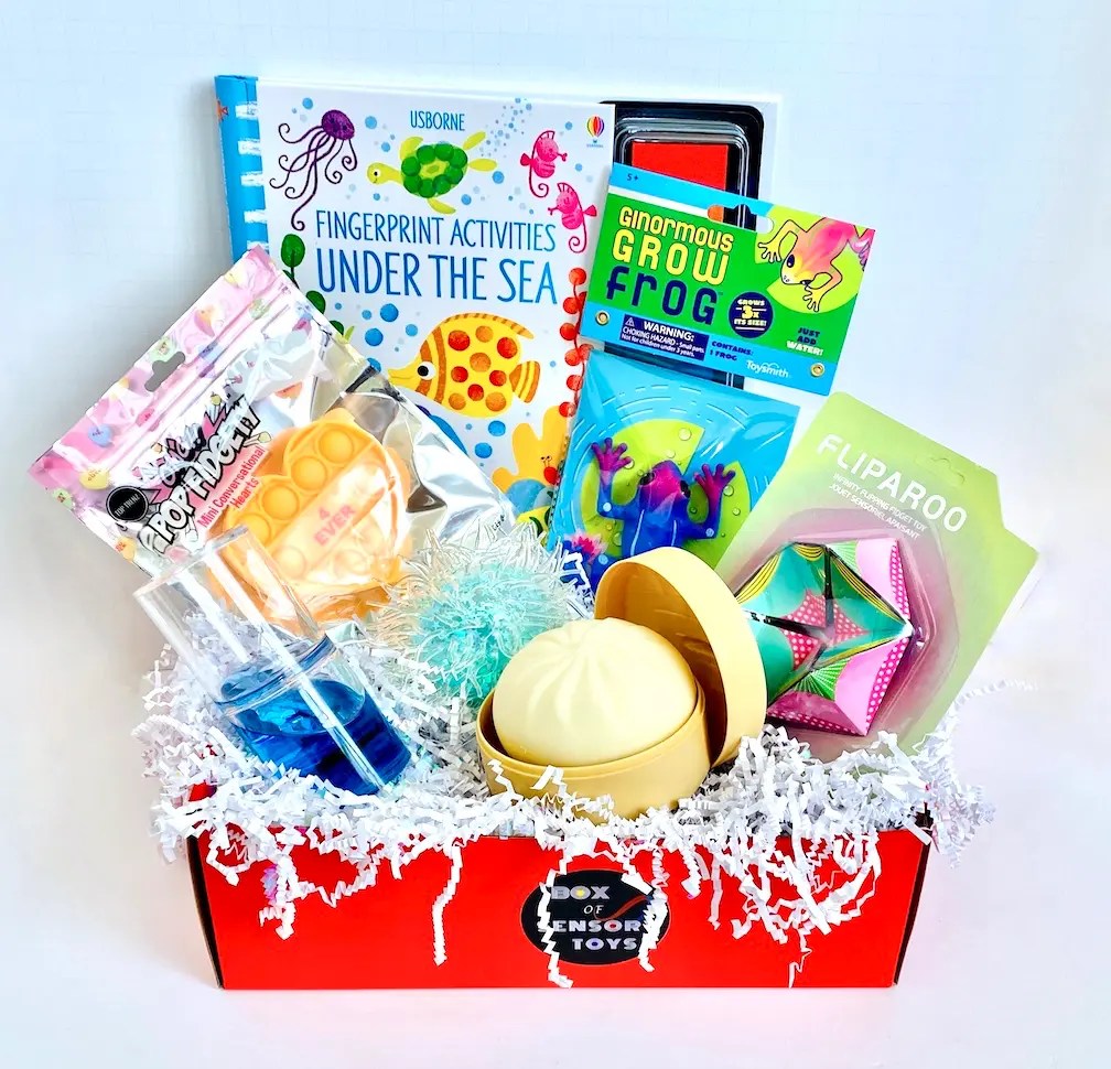 5 Sensory Subscription Boxes for Children with Autism DFWChild