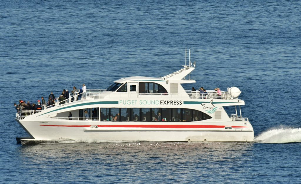 Scene in Edmonds Boats and a whale My Edmonds News